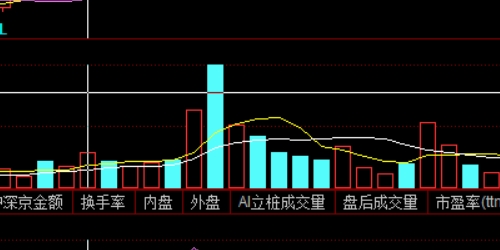投资者必备：炒股配资的成功案例分享